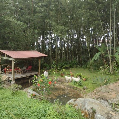 Finca Exclusividad Familiar O Grupo De Amigos Capacidad Hasta 12 Personas Calles En Placa Huella, Caminata Ecologica Alban  Екстериор снимка