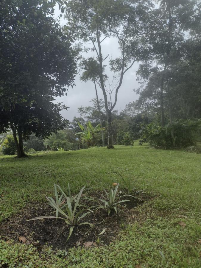 Finca Exclusividad Familiar O Grupo De Amigos Capacidad Hasta 12 Personas Calles En Placa Huella, Caminata Ecologica Alban  Екстериор снимка