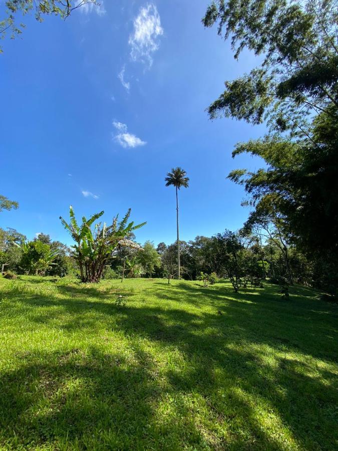 Finca Exclusividad Familiar O Grupo De Amigos Capacidad Hasta 12 Personas Calles En Placa Huella, Caminata Ecologica Alban  Екстериор снимка