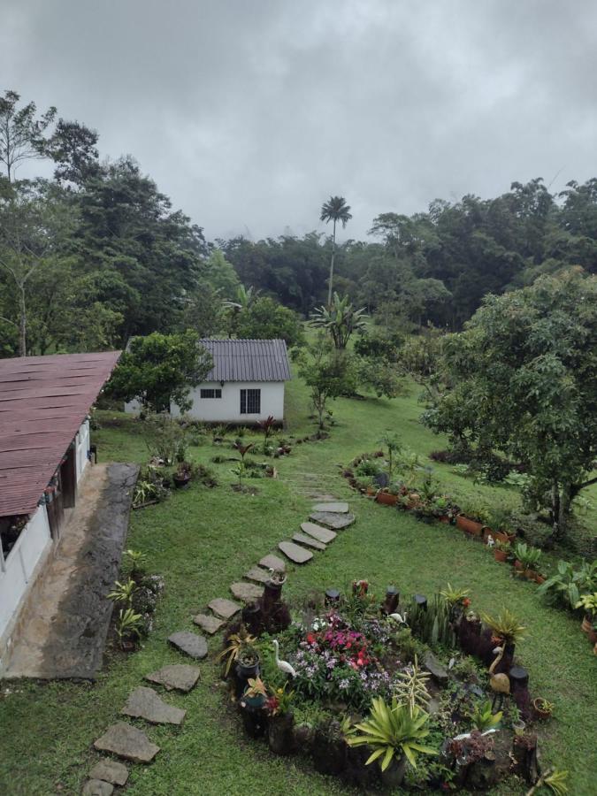 Finca Exclusividad Familiar O Grupo De Amigos Capacidad Hasta 12 Personas Calles En Placa Huella, Caminata Ecologica Alban  Екстериор снимка
