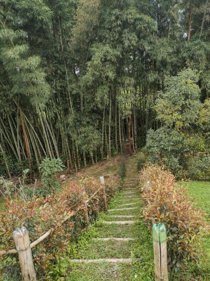 Finca Exclusividad Familiar O Grupo De Amigos Capacidad Hasta 12 Personas Calles En Placa Huella, Caminata Ecologica Alban  Екстериор снимка