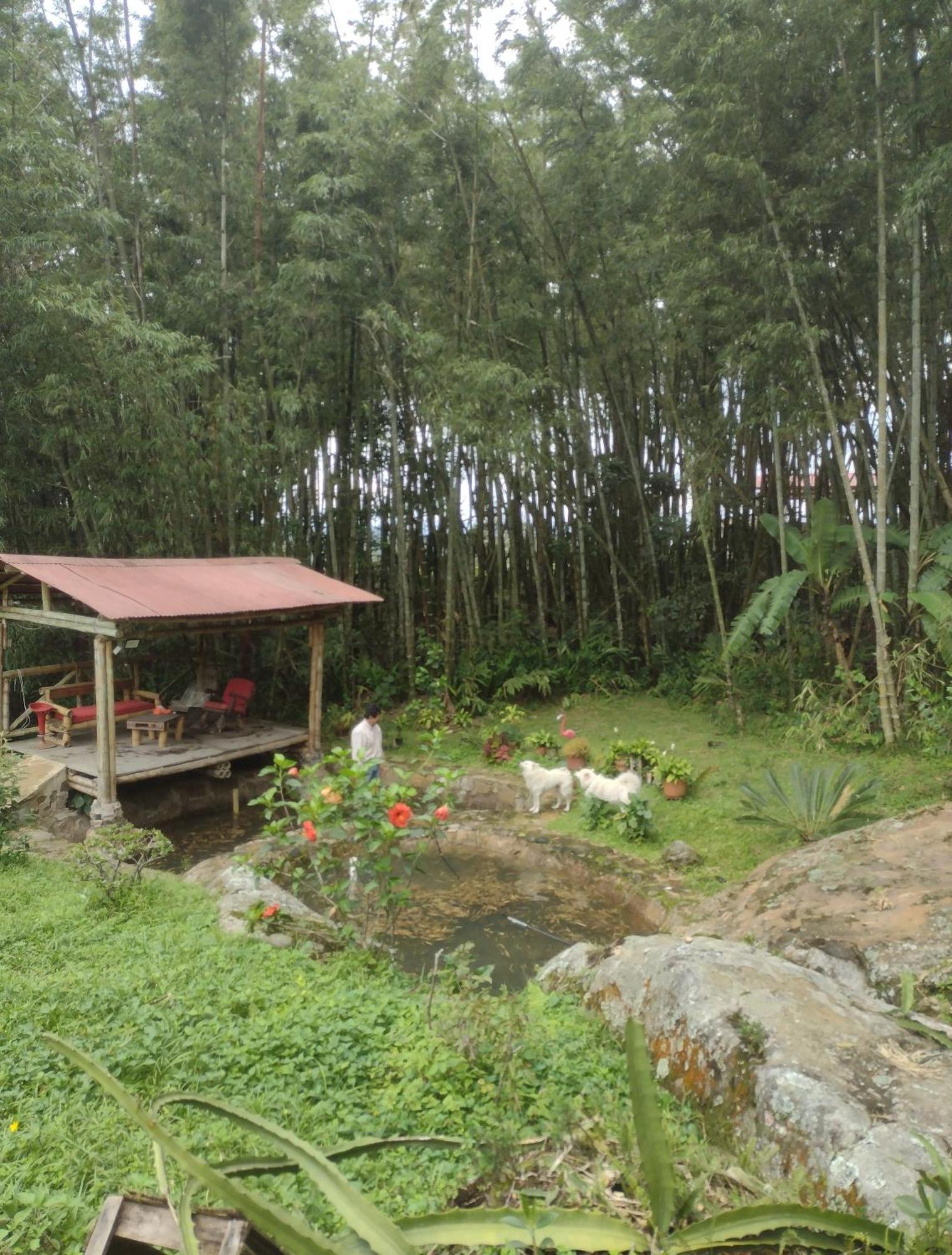 Finca Exclusividad Familiar O Grupo De Amigos Capacidad Hasta 12 Personas Calles En Placa Huella, Caminata Ecologica Alban  Екстериор снимка
