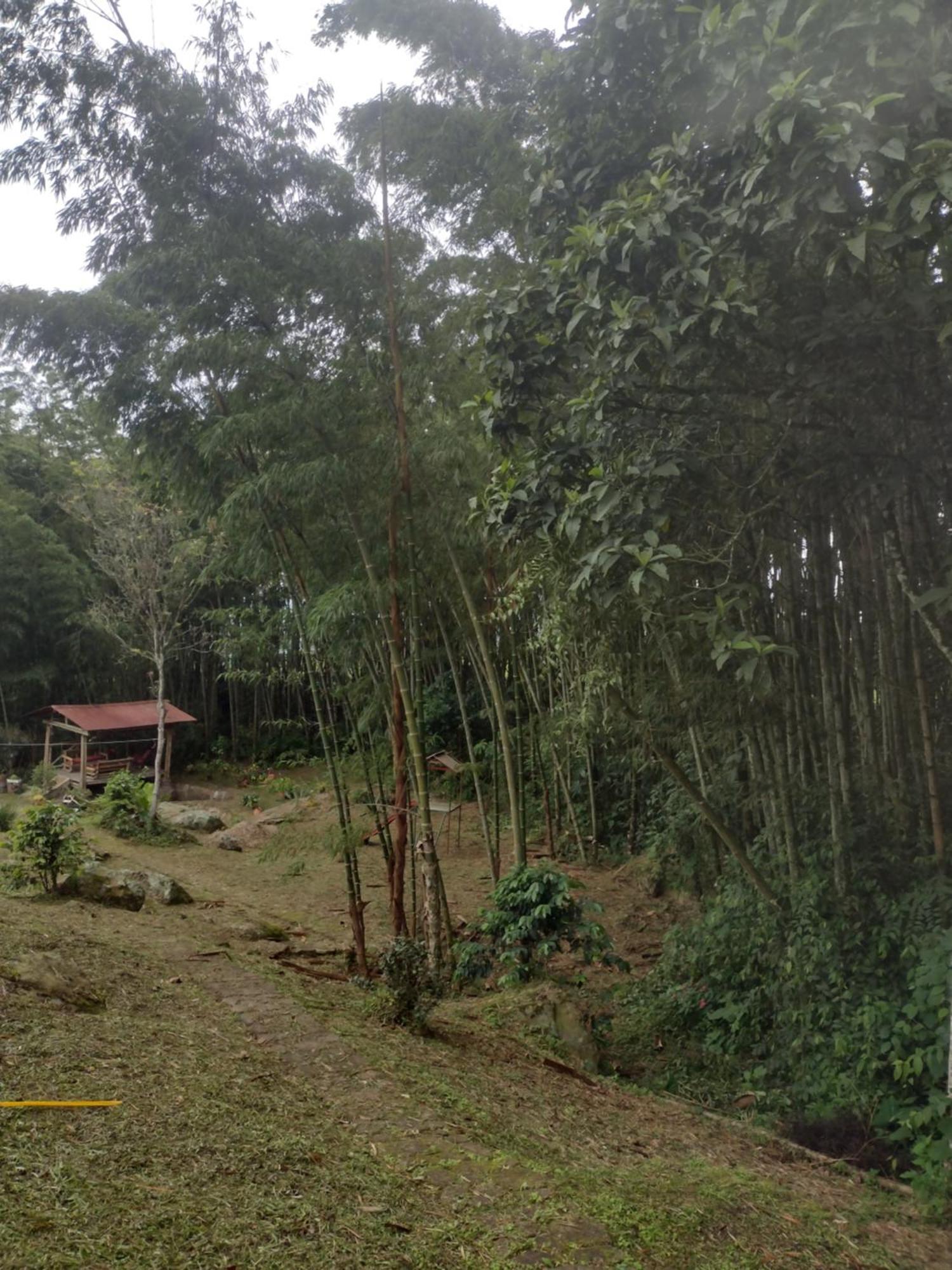 Finca Exclusividad Familiar O Grupo De Amigos Capacidad Hasta 12 Personas Calles En Placa Huella, Caminata Ecologica Alban  Екстериор снимка