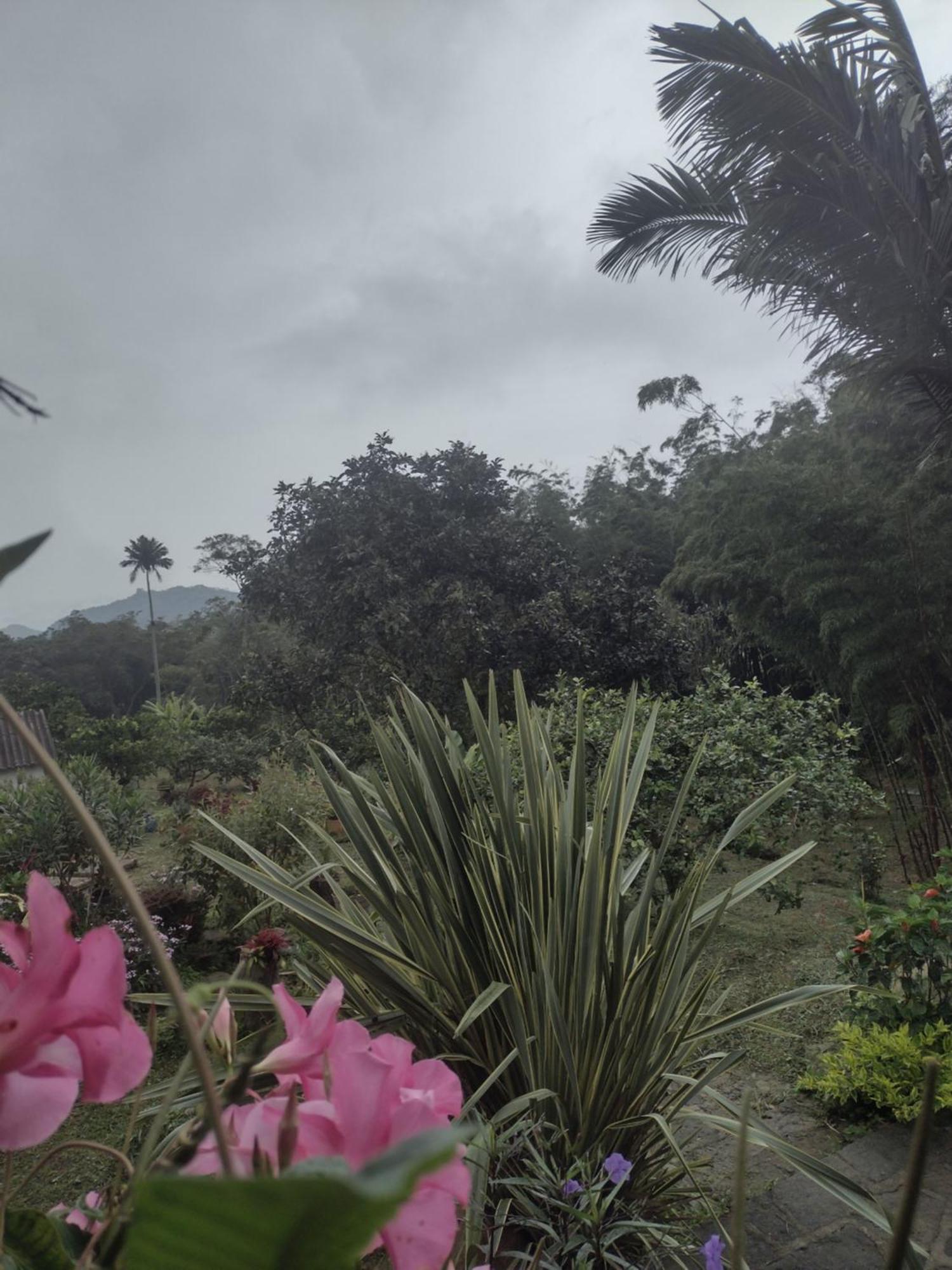 Finca Exclusividad Familiar O Grupo De Amigos Capacidad Hasta 12 Personas Calles En Placa Huella, Caminata Ecologica Alban  Екстериор снимка