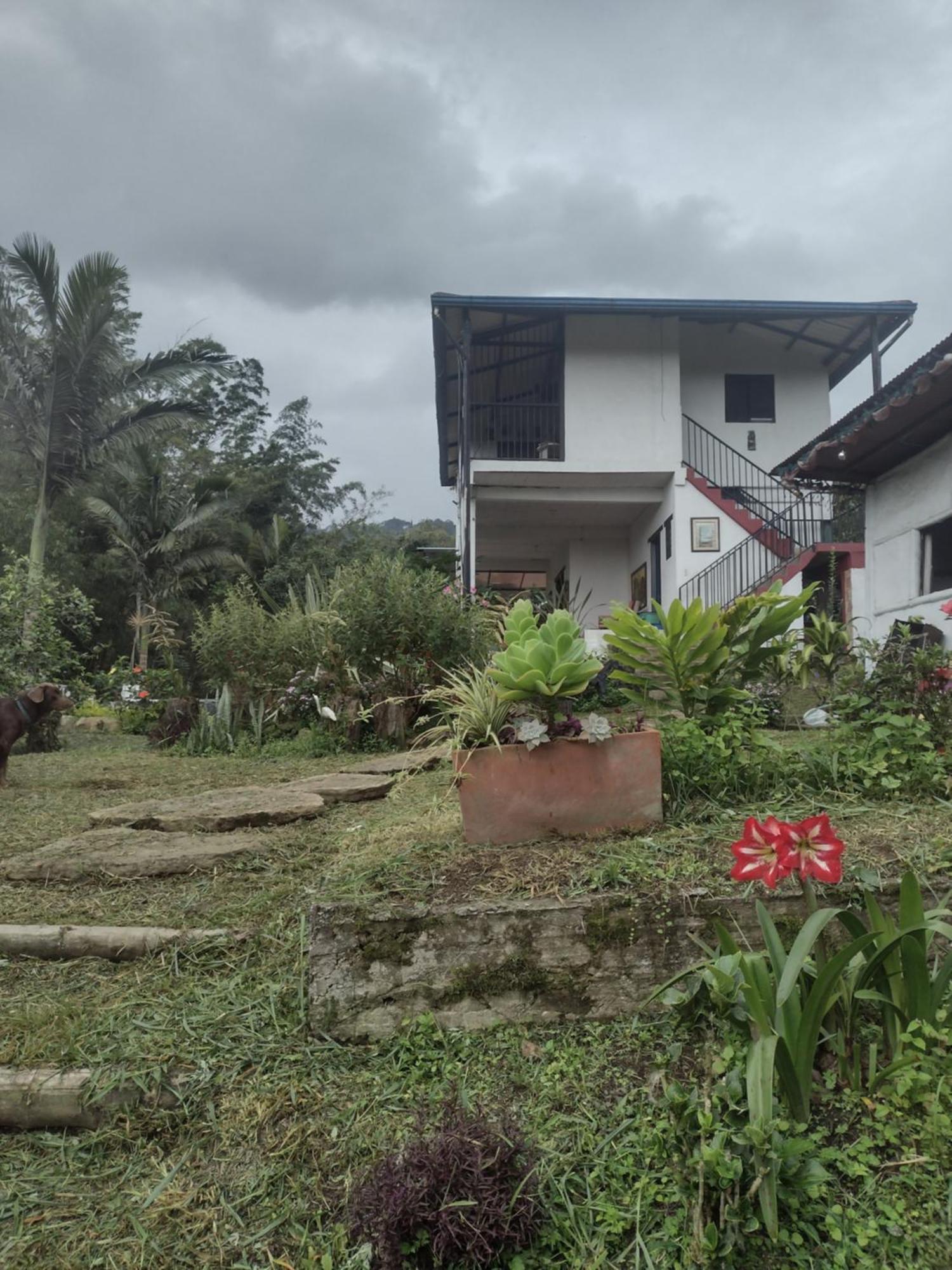 Finca Exclusividad Familiar O Grupo De Amigos Capacidad Hasta 12 Personas Calles En Placa Huella, Caminata Ecologica Alban  Екстериор снимка